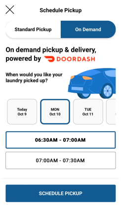 Laundry Delivery On Demand